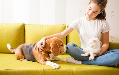 Preparing Your Pets for a Move - CAL Home